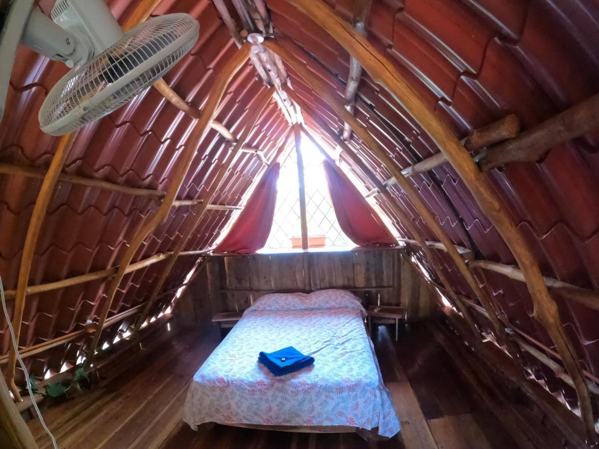 Tree House Samanea Lodge Puerto Limon Dış mekan fotoğraf