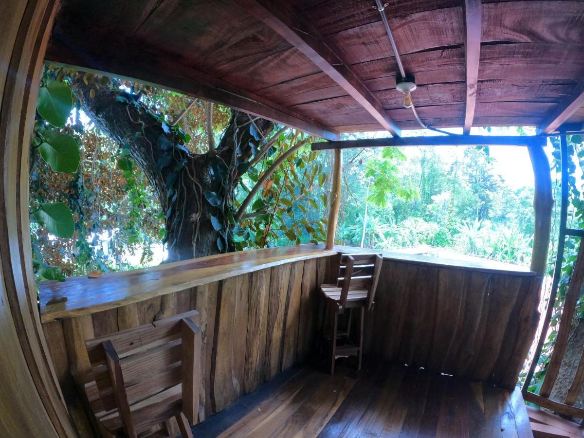 Tree House Samanea Lodge Puerto Limon Dış mekan fotoğraf