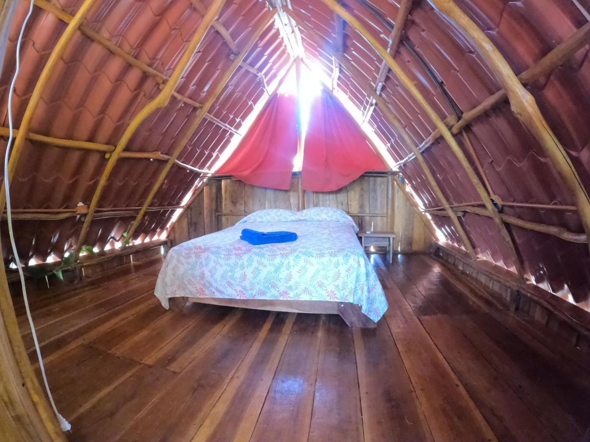 Tree House Samanea Lodge Puerto Limon Dış mekan fotoğraf