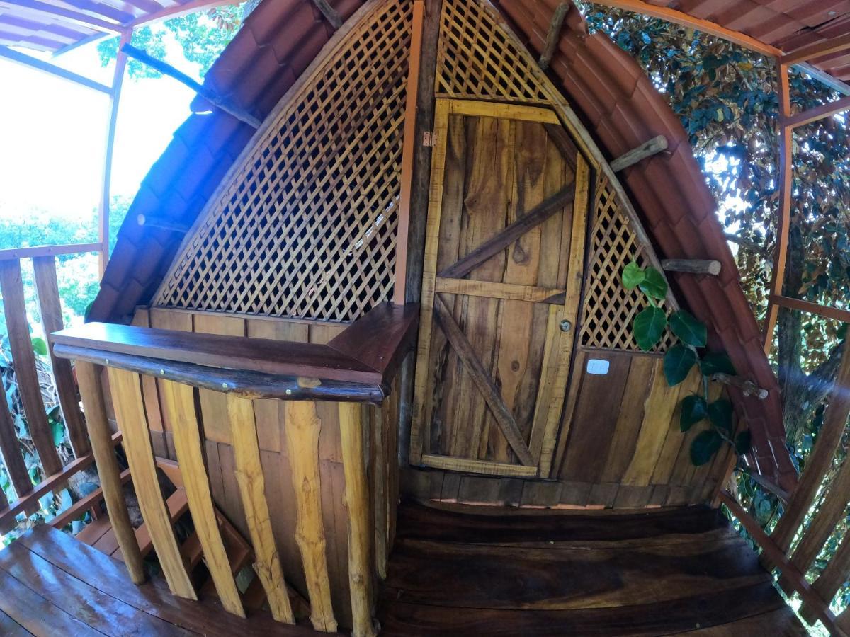 Tree House Samanea Lodge Puerto Limon Dış mekan fotoğraf