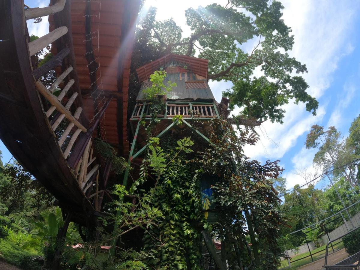Tree House Samanea Lodge Puerto Limon Dış mekan fotoğraf