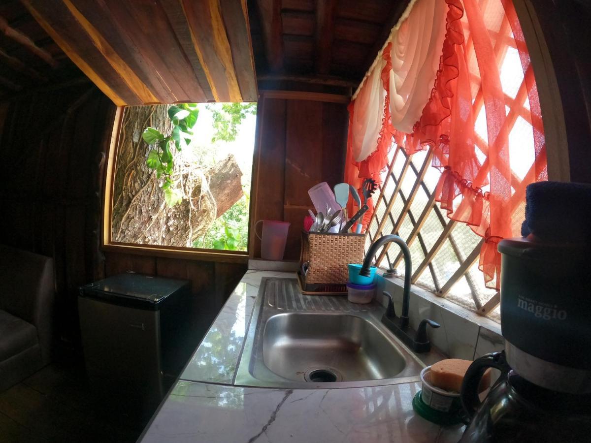 Tree House Samanea Lodge Puerto Limon Dış mekan fotoğraf