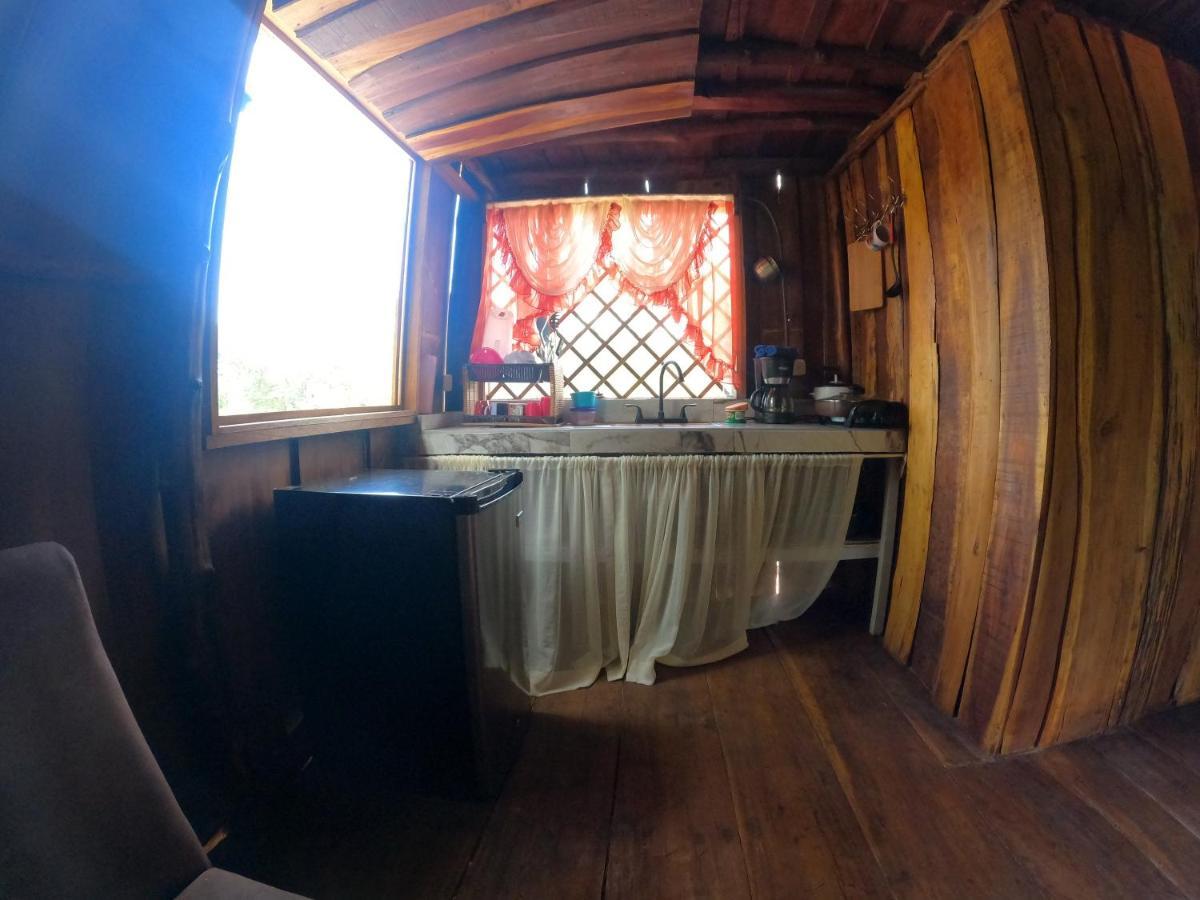 Tree House Samanea Lodge Puerto Limon Dış mekan fotoğraf