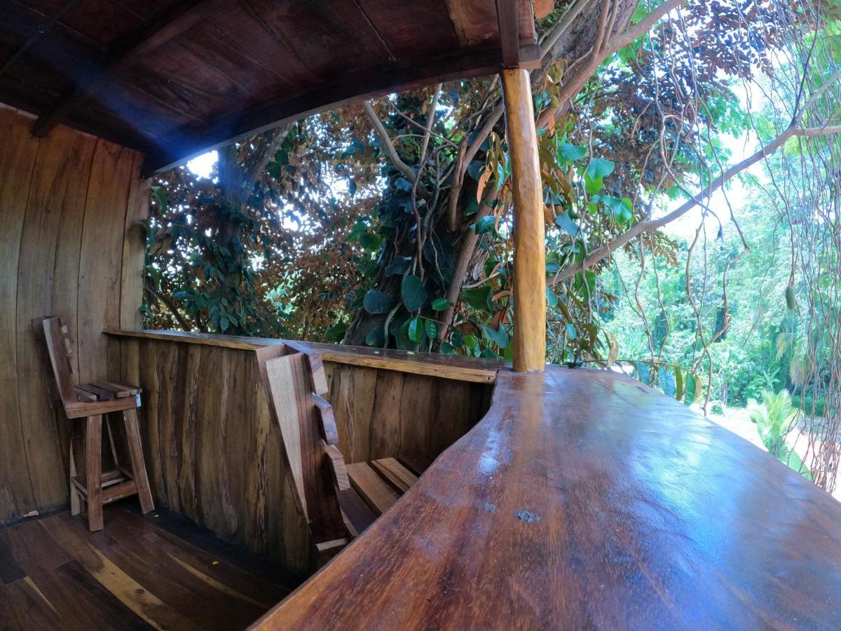 Tree House Samanea Lodge Puerto Limon Dış mekan fotoğraf